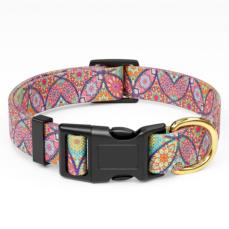 Premium Printed Pattern Pet Collar